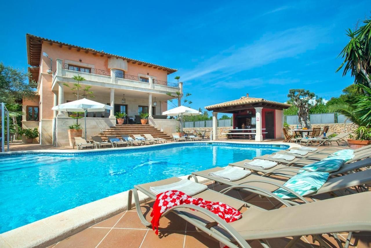 Oliveres By Vintage Travel